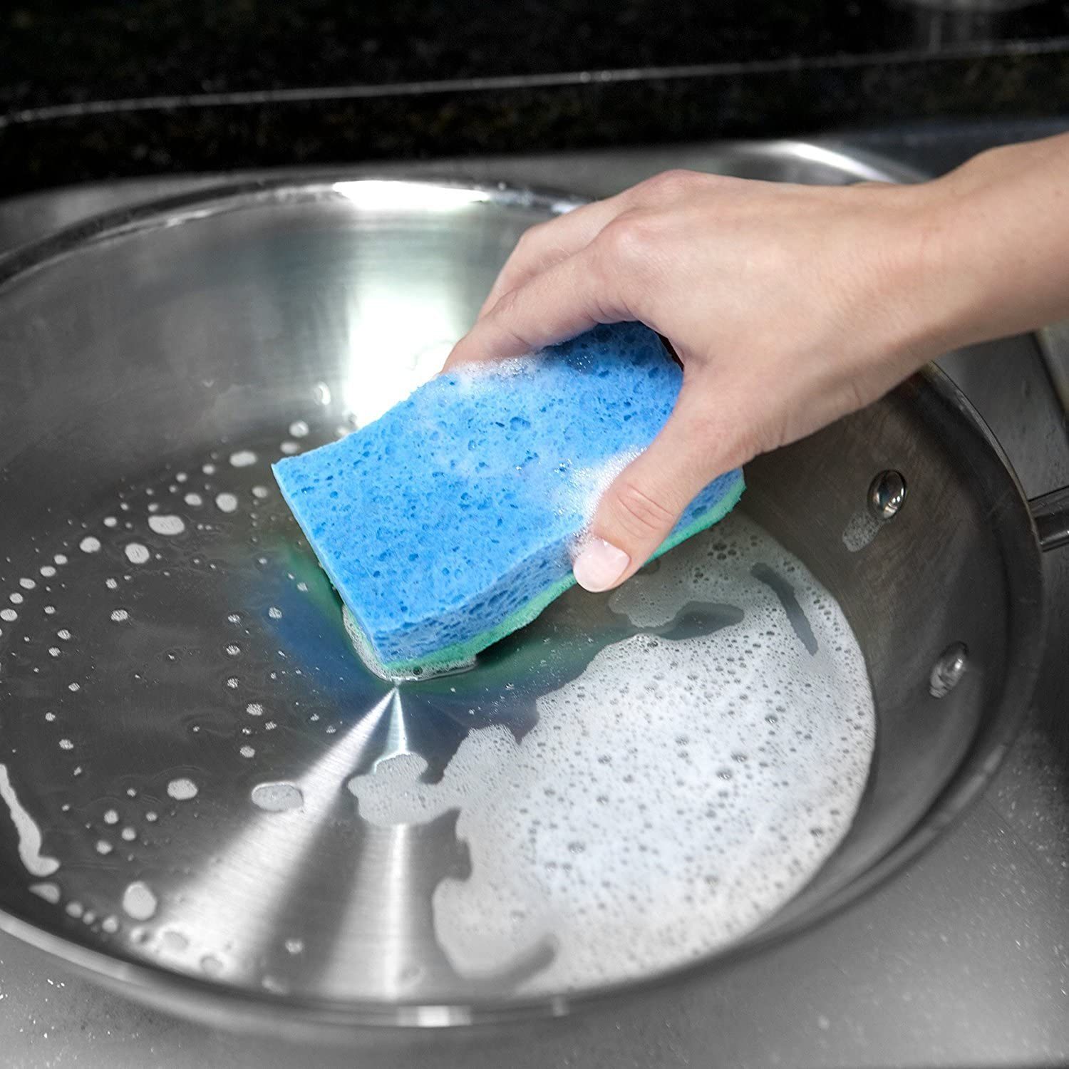 Dish Sponge 