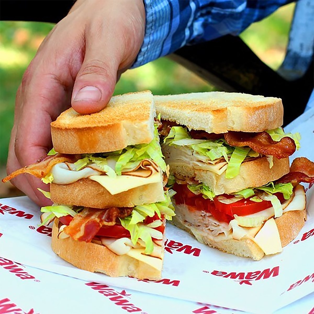 wawa sandwich 