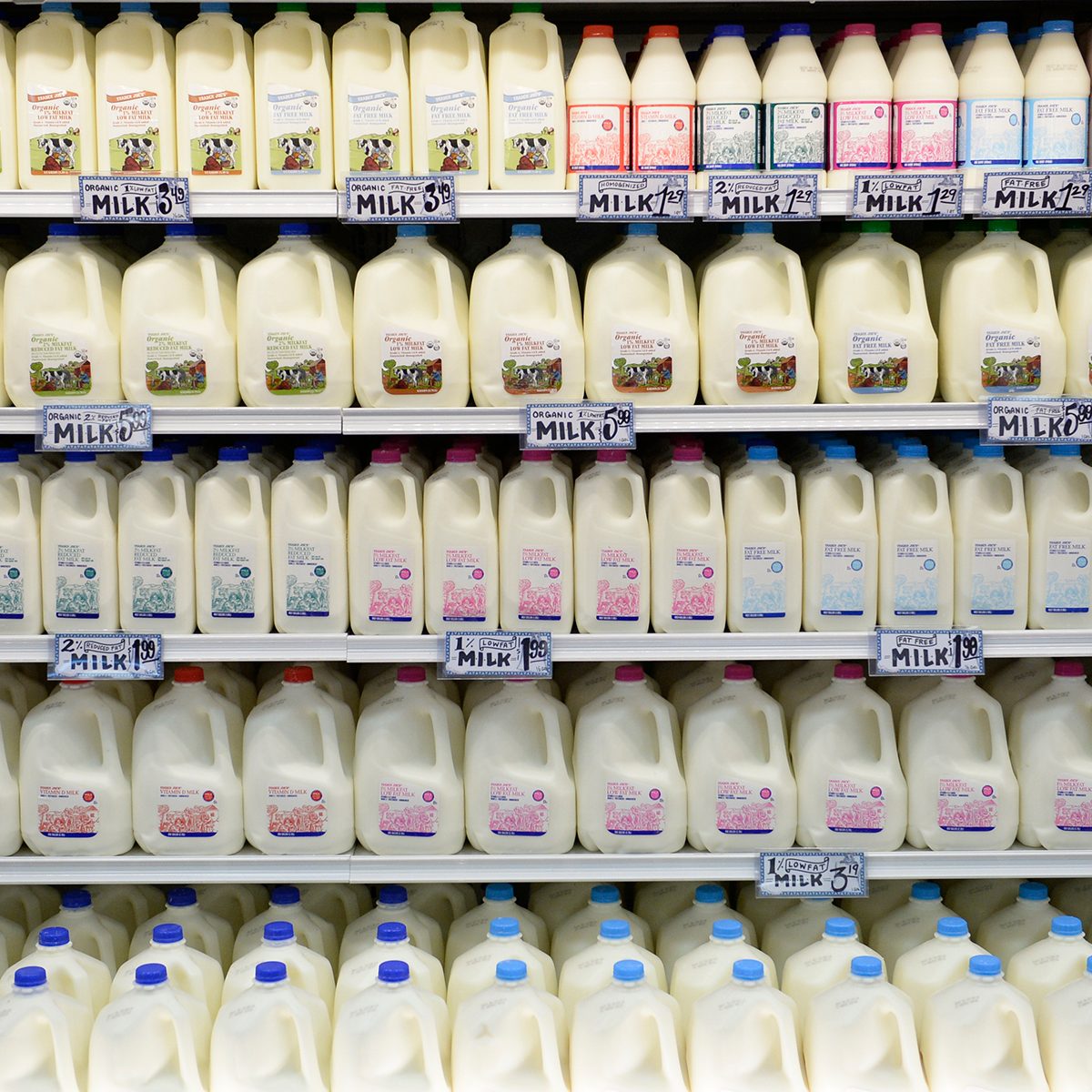 DENVER, CO - FEBRUARY 14: Milk lines the shelves at the new Trader Joe's, located on Colorado Blvd. and East 8th Avenue in Denver, for the grand opening of specialty grocer, February, 14 2014. Two other Trader Joe's locations in Colorado will also open today. (Photo by RJ Sangosti/The Denver Post via Getty Images)
