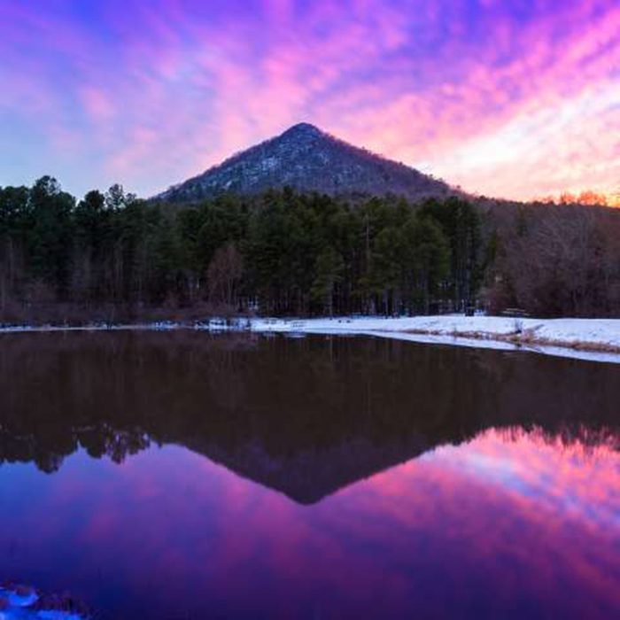 best picnic spot Pinnacle Mountain State Park