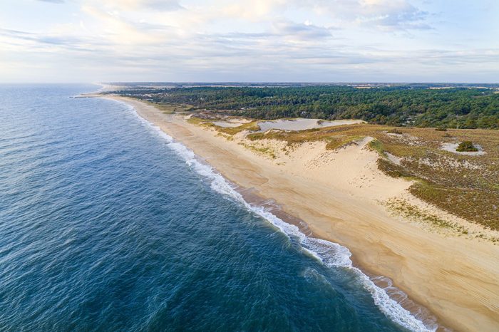 Cape Henlopen State Park Delaware