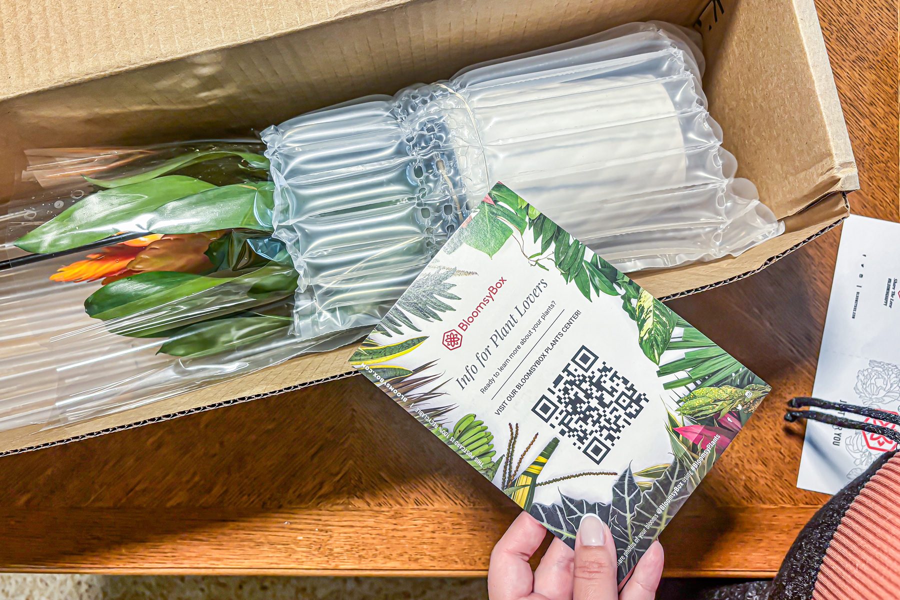 Toha24 Bloomsybox Plant Subscription Nicole Doster 01 Stedit