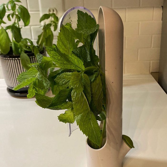 Herb Saver Pods
