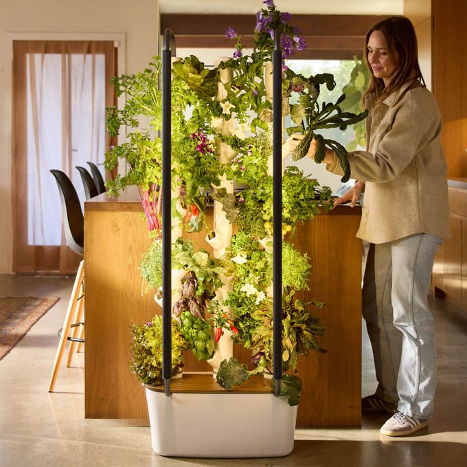 Gardyn Home Kit Via Mygardyn.com