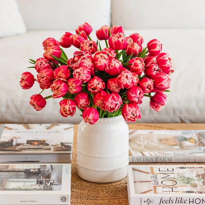Pink Peony Tulips