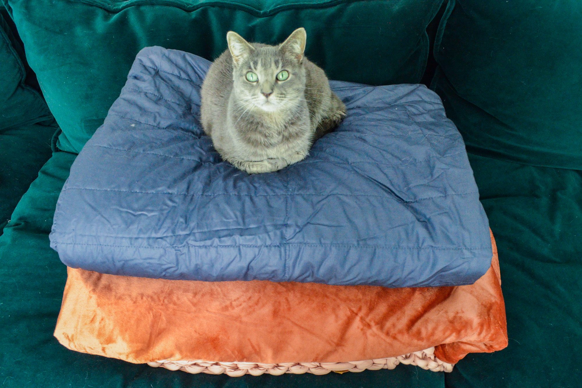 How We Found The Best Blankets