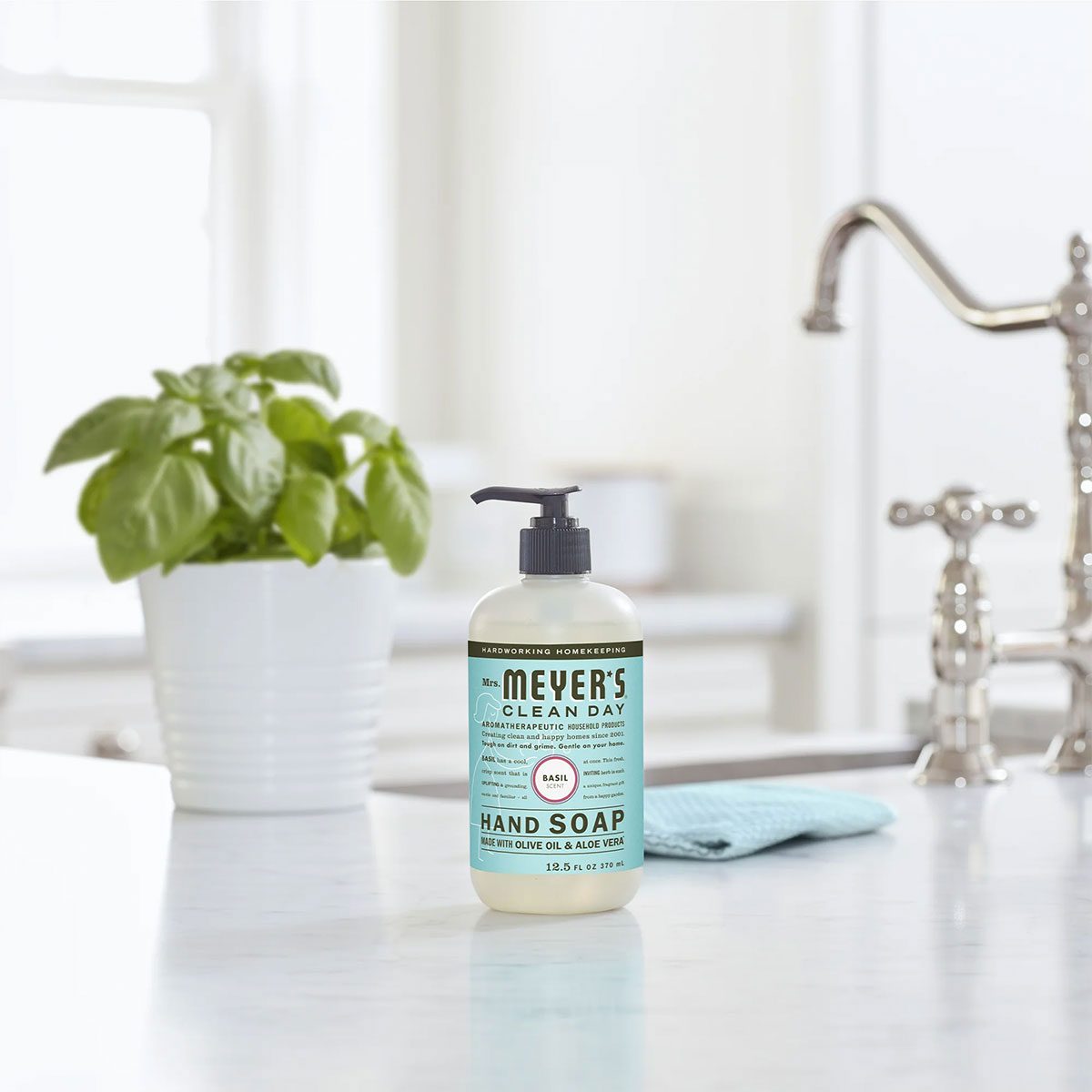 Acorn Spice Hand Soap