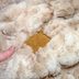 Lola Blankets Review: This Viral Blanket Might Be the Softest We've Ever Tried